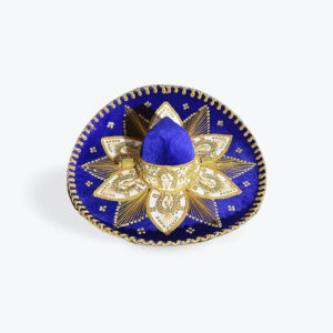 Purple and Gold sombrero Charro hat
