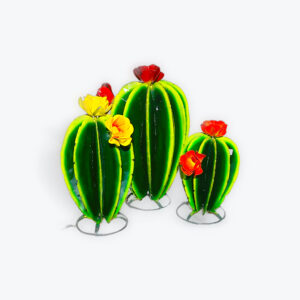 XL Barrel Cactus with vase