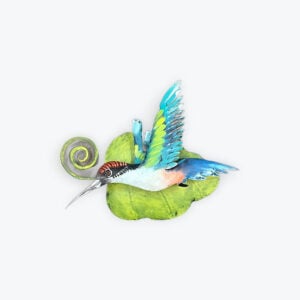 Hanging leaf hummingbird
