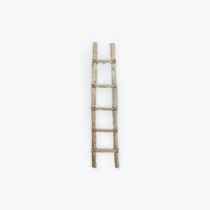 Kiva Ladder