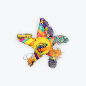 Assorted Palm pinata ornament 6in x 6in