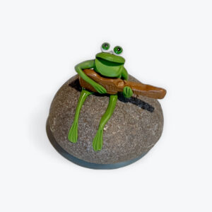 Frog on Stone