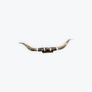 Wall mounted cow skin steer horn