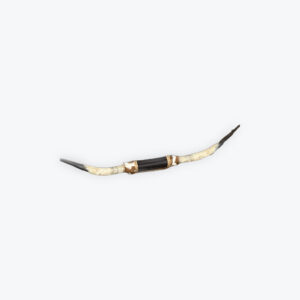 Long horn on a wood board 68in